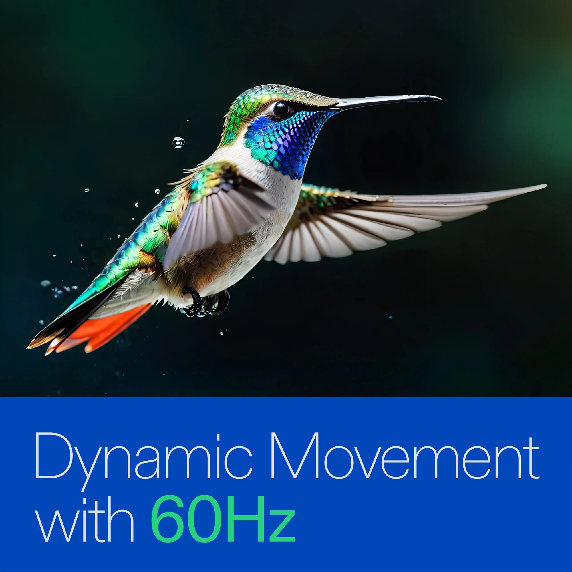 32” Class 720P HD Roku Smart Television, 100012589